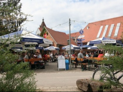 Foto: Schwaneninsel